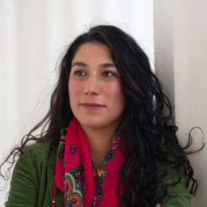 sedra arab
